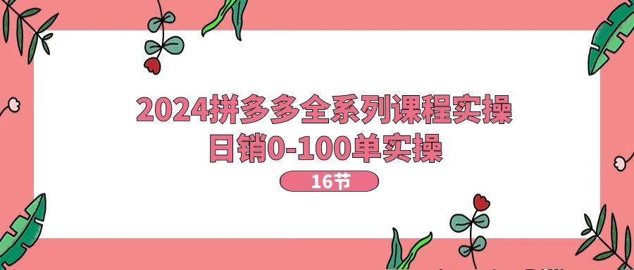 2024拼多多全系列课程实操，日销0-100单实操【16节课】_金轩项目库
