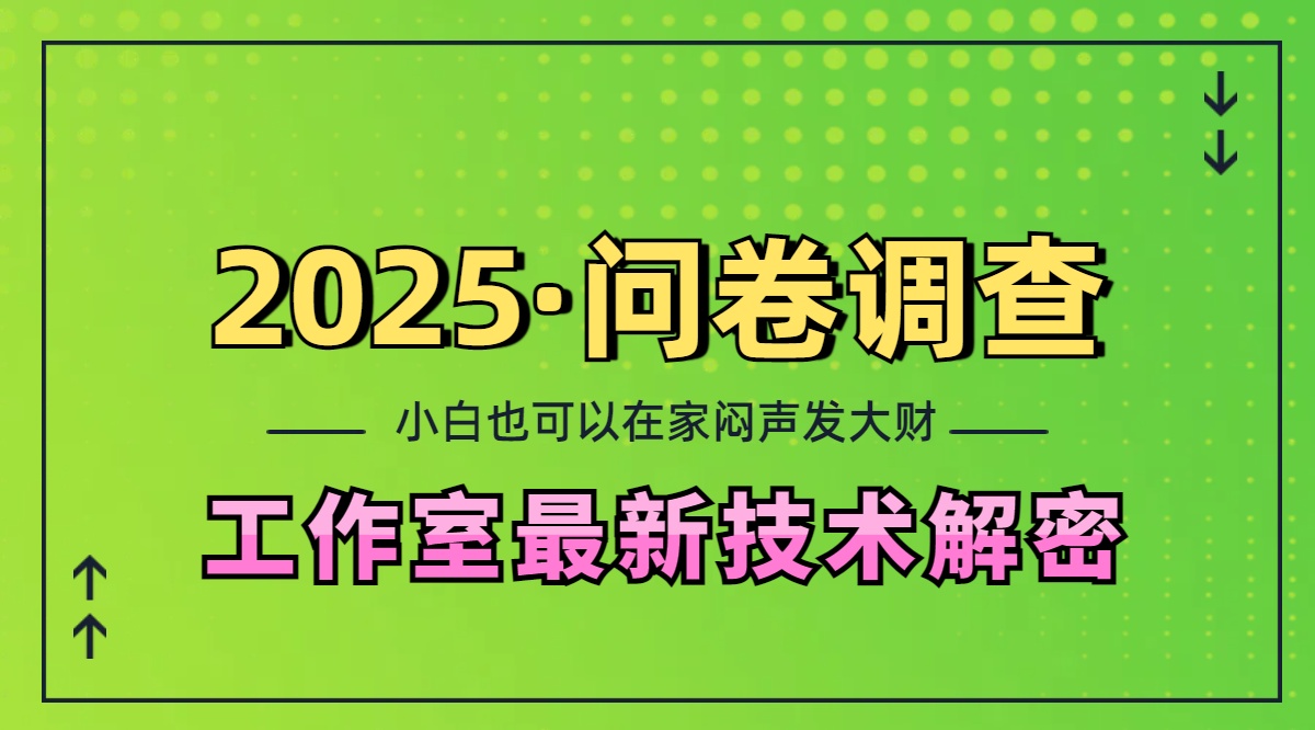 2025《问卷调查》最新工作室技术解密：一个人在家也可以闷声发大财，小白一天200+，可矩阵放大_金轩项目库