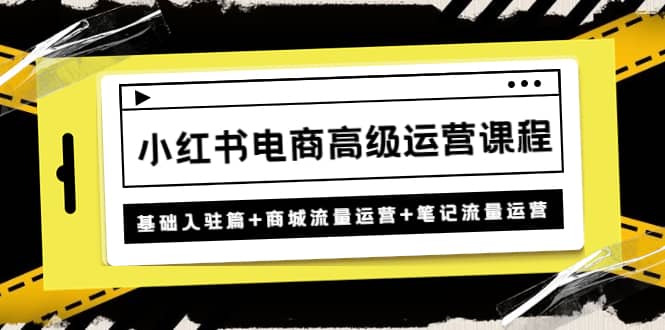 小红书电商高级运营课程：基础入驻篇+商城流量运营+笔记流量运营_金轩项目库
