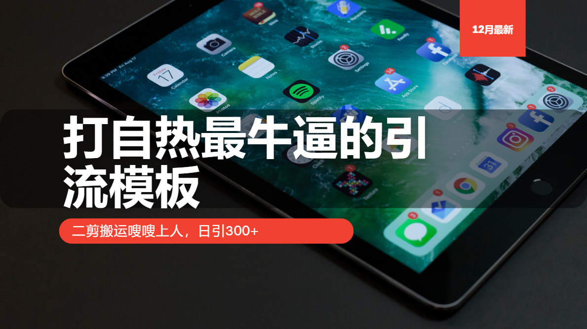 打自热最牛逼的引流模板，日引300+，二剪搬运嗖嗖上人_金轩项目库