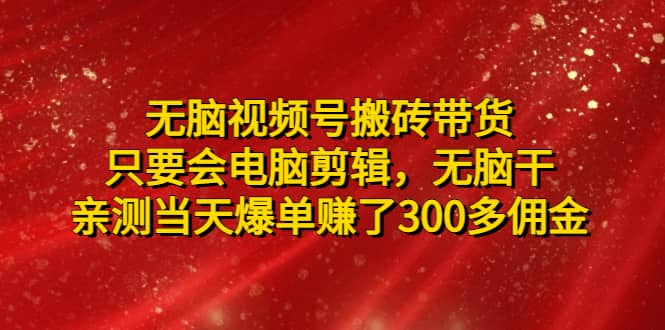 无脑视频号搬砖带货，只要会电脑剪辑，无脑干_金轩项目库