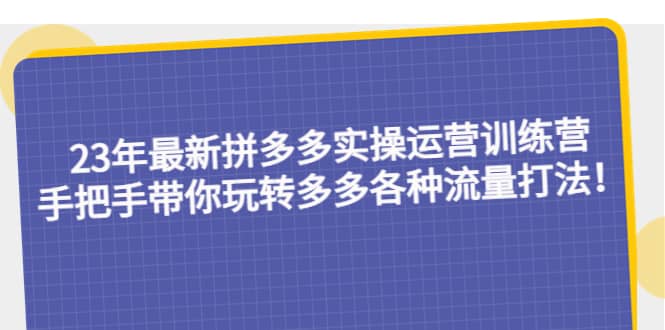 23年最新拼多多实操运营训练营：手把手带你玩转多多各种流量打法！_金轩项目库