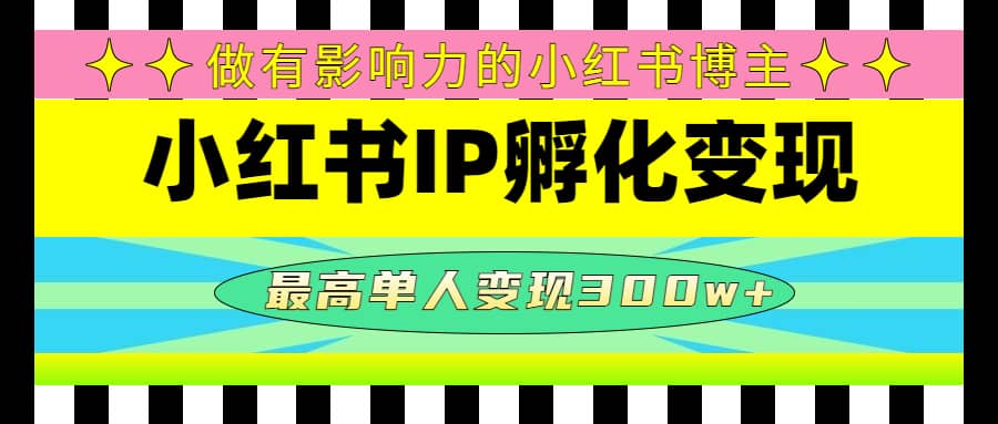 某收费培训-小红书IP孵化变现：做有影响力的小红书博主_金轩项目库