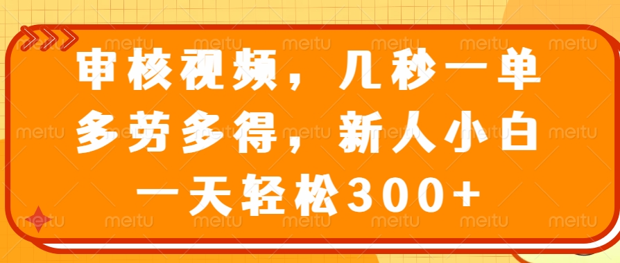 审核视频项目，几秒一单，多劳多得，新人小白一天轻松300+_金轩项目库