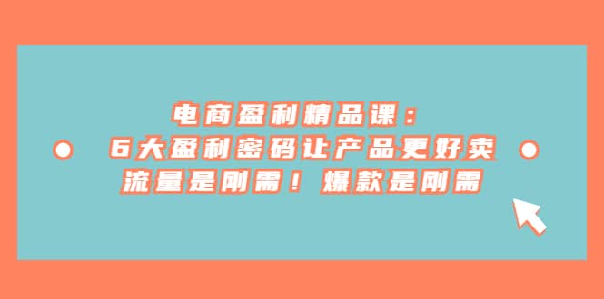 电商 盈利精品课：6大盈利 密码让产品更好卖，流量是刚需！爆款是刚需_金轩项目库