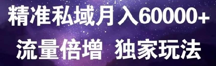 原力网赚精准私域月入60000+,流量倍增独家玩法_金轩项目库