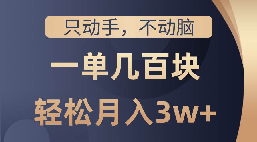只动手不动脑，一单几百块，轻松月入3w+，看完就能直接操作，详细教程_金轩项目库
