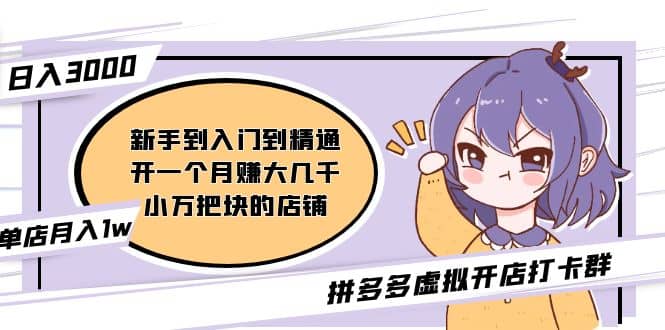 拼多多虚拟开店打卡群：新手到入门到精通_金轩项目库