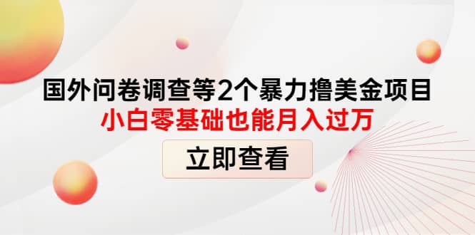 国外问卷调查等2个暴力撸美元项目，小白零基础也能月入过万_金轩项目库