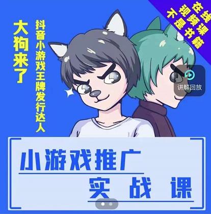 大狗来了：小游戏推广实战课，带你搭建一个游戏推广变现账号_金轩项目库