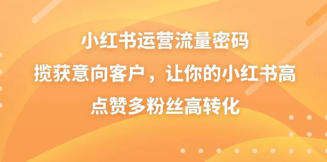 小红书运营流量密码，揽获意向客户，让你的小红书高点赞多粉丝高转化_金轩项目库