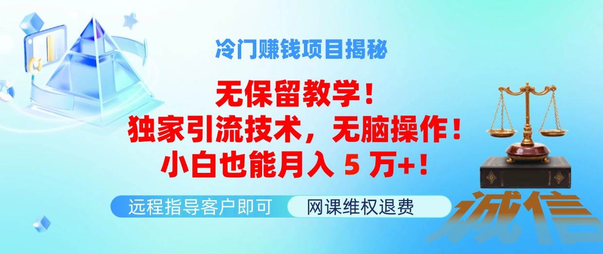 冷门赚钱项目无保留教学！独家引流技术，无脑操作！小白也能月入5万+！_金轩项目库