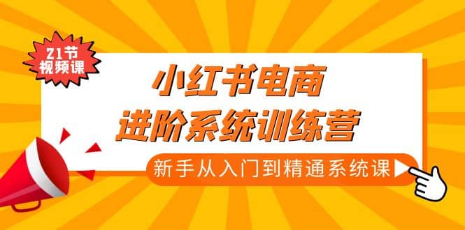 小红书电商进阶系统训练营：新手从入门到精通系统课（21节视频课）_金轩项目库