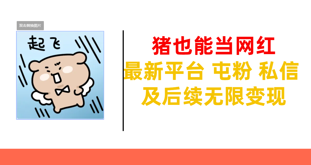 猪也能当网红-最新平台 屯粉 交流 私信 及后续无限变现_金轩项目库
