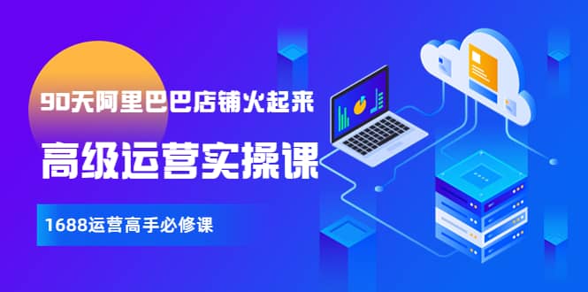 【90天阿里巴巴店铺火起来】高级运营实操课，1688运营高手必修课_金轩项目库
