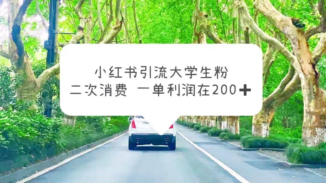 小红书引流大学生粉，变现项目，一单利润在200+（教程+资源）_金轩项目库