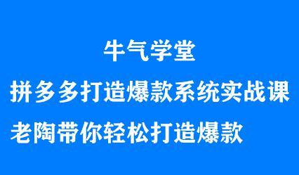 牛气学堂拼多多打造爆款系统实战课，老陶带你轻松打造爆款_金轩项目库