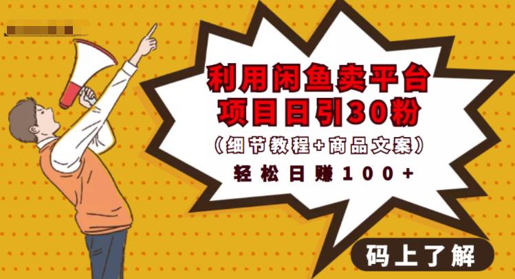 利用闲鱼卖平台项目课程资源日引流30+精准粉丝，轻松日赚100+，积累人脉可实现二次变现（细节教程+商品文案）_金轩项目库