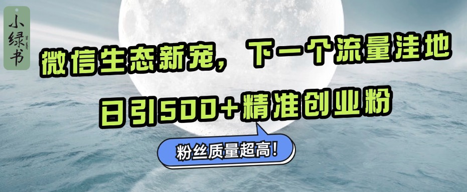 微信生态新宠小绿书：下一个流量洼地，粉丝质量超高，日引500+精准创业粉，_金轩项目库