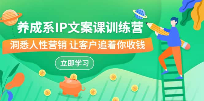 养成系-IP文案课训练营，文案心法的天花板 洞悉人性营销 让客户追着你收钱_金轩项目库