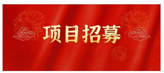 高鹏圈·蓝海中视频项目，长期项目，可以说字节不倒，项目就可以一直做！_金轩项目库