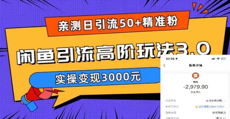实测日引50+精准粉，闲鱼引流高阶玩法3.0，实操变现3000元_金轩项目库
