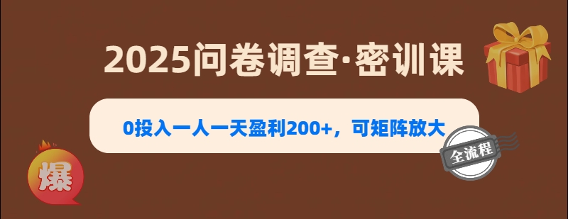 2025《问卷调查》0投入一人一天盈利200+，可矩阵放大_金轩项目库