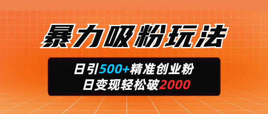 暴力吸粉玩法，日引500+精准创业粉，日变现轻松破2000_金轩项目库