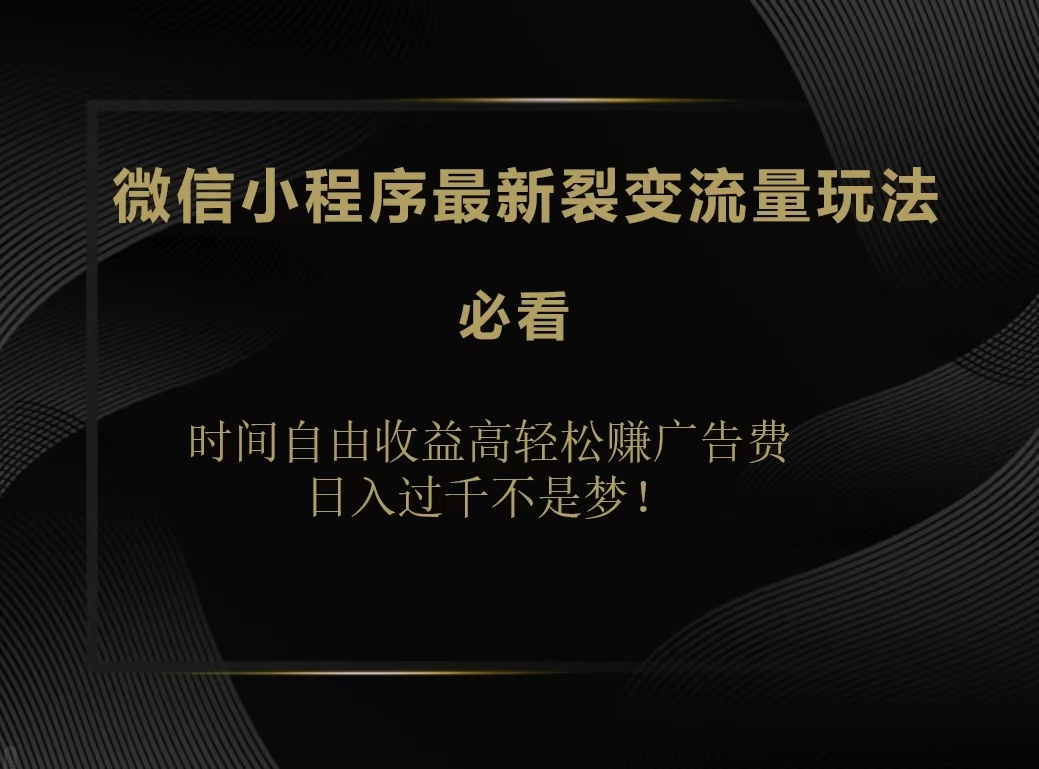 微信小程序最新裂变流量玩法，时间自由收益高轻松赚广告费，日入200-500+_金轩项目库