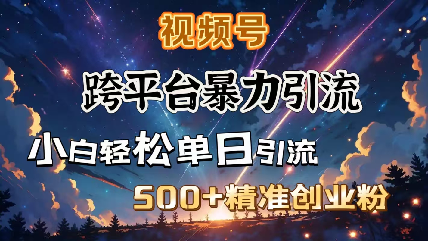 视频号跨平台暴力引流，小白轻松单日引流500＋精准创业粉_金轩项目库