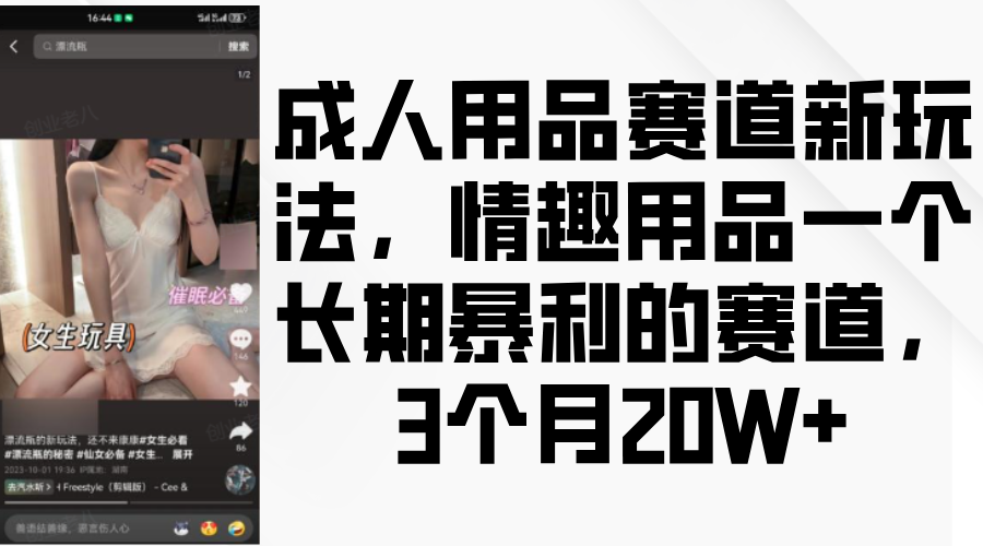 情趣用品一个长期暴利的赛道，成人用品赛道新玩法，3个月20W+_金轩项目库