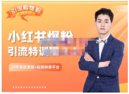 陆明明·小红书爆粉特训班5.0，助你轻松玩转小红书平台价值1380元_金轩项目库
