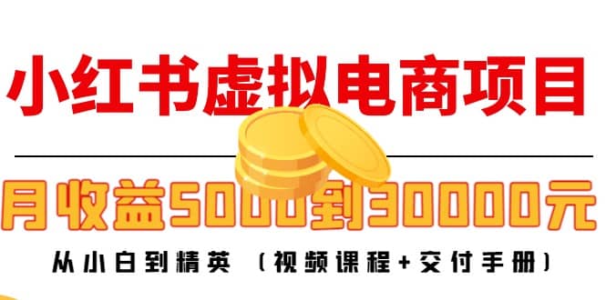 小红书虚拟电商项目：从小白到精英 (视频课程+交付手册)_金轩项目库