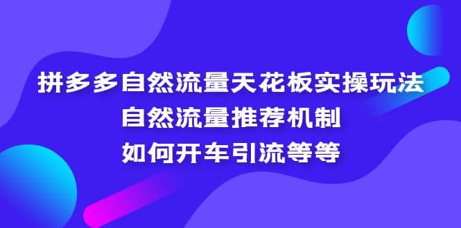 拼多多自然流量天花板实操玩法：自然流量推荐机制，如何开车引流等等_金轩项目库