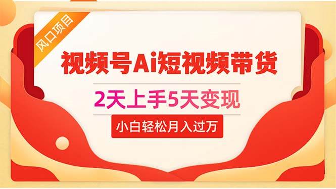 2天上手5天变现视频号Ai短视频带货0粉丝0基础小白轻松月入过万_金轩项目库