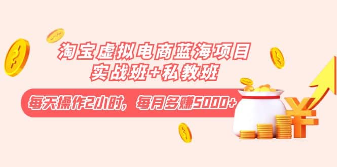 淘宝虚拟电商蓝海项目实战班+私教班_金轩项目库