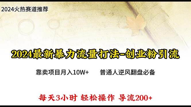 2024年最新暴力流量打法，每日导入300+，靠卖项目月入10W+_金轩项目库
