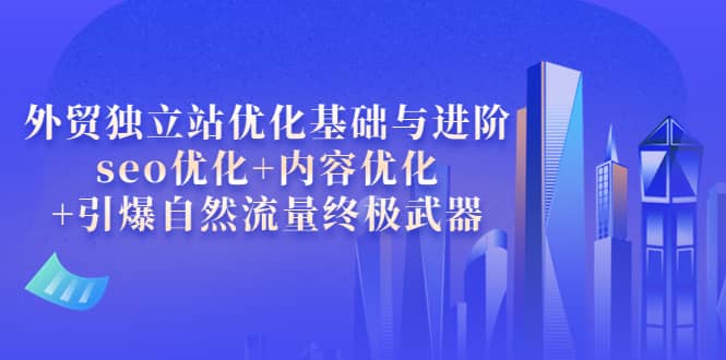外贸独立站优化基础与进阶，seo优化+内容优化+引爆自然流量终极武器_金轩项目库