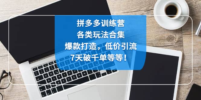 拼多多训练营：各玩法合集，爆款打造，低价引流，7天破千单等等_金轩项目库