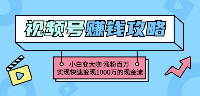 玩转微信视频号赚钱：小白变大咖涨粉百万实现快速变现1000万的现金流_金轩项目库