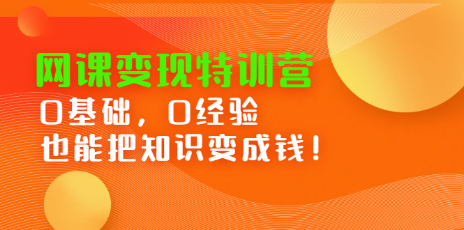 网课变现特训营，0基础，0经验也能把知识变成钱_金轩项目库