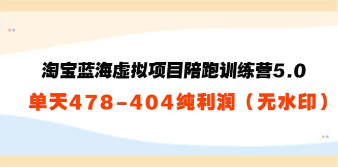 淘宝蓝海虚拟项目陪跑训练营5.0：单天478纯利润（无水印）_金轩项目库