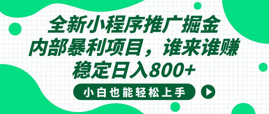 全新小程序推广掘金，内部暴利项目，小白轻松上手，稳定日入800+_金轩项目库