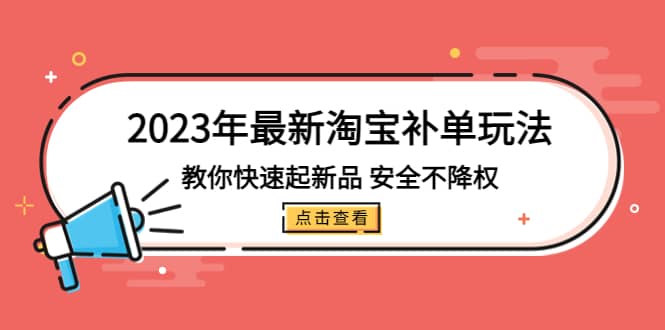 2023年最新淘宝补单玩法，教你快速起·新品，安全·不降权（18课时）_金轩项目库