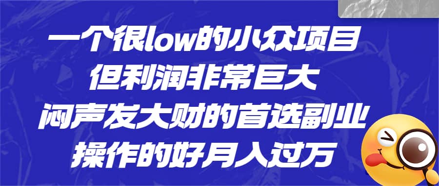一个很low的小众项目，但利润非常巨大，闷声发大财的首选副业，月入过万_金轩项目库