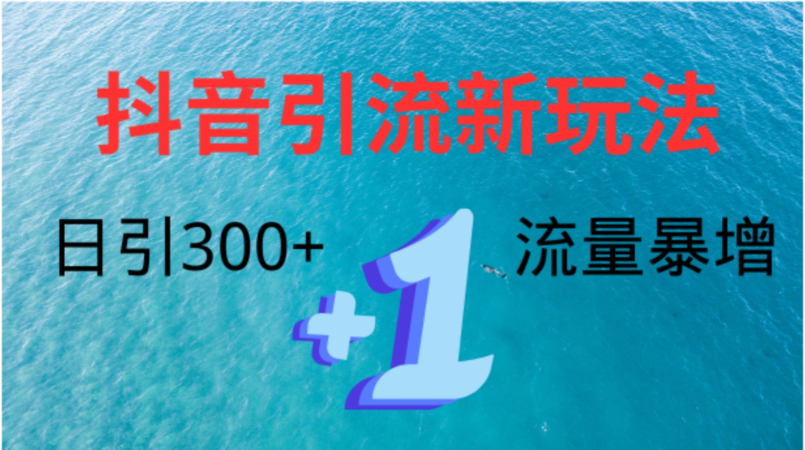 创业粉高效引流，抖音工具号玩法4.0，日引300+_金轩项目库
