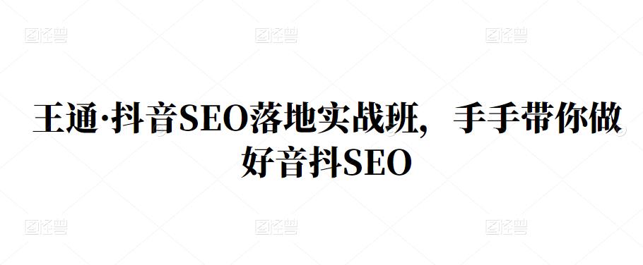 王通·抖音SEO落地实战班，手‬手带你做好音抖‬‬SEO_金轩项目库