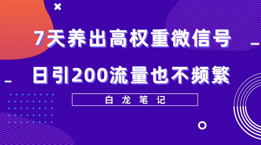 7天养出高权重微信号，日引200流量也不频繁，方法价值3680元_金轩项目库
