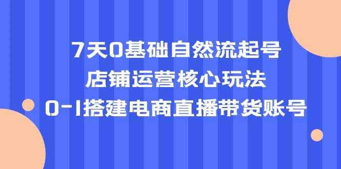 7天0基础自然流起号，店铺运营核心玩法，0-1搭建电商直播带货账号_金轩项目库