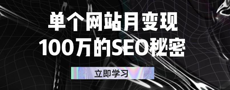 单个网站月变现100万的SEO秘密，百分百做出赚钱站点_金轩项目库